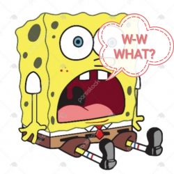 قطعا نمیدونستی