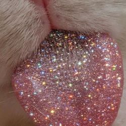 این فقط مریضه منه که...