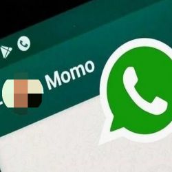 اطلاعات مهمی درباره ی چالش مومو !!! ( بدون عکس )