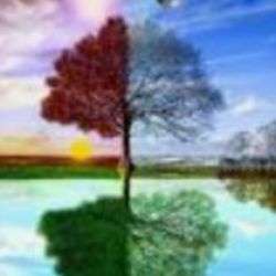 چه شخصیتی داری؟