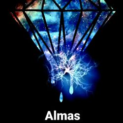 چقد ارمین  تی جی رومیشناسی