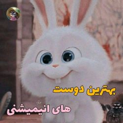 بهترین دوست های انیمیشنی