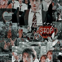 نتیجه مسابقه پاترهدا🙃❤