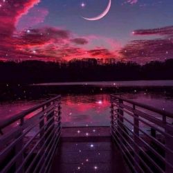 لطفا حمایتم کنید 😭😭🙏