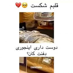 عکس آه قلبم 😢