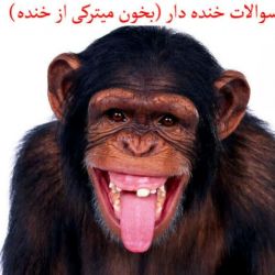 سوالای خنده دار و دیوونه کننده