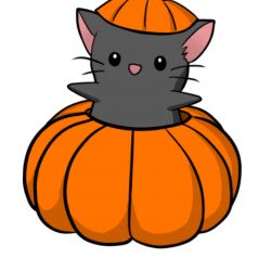 میتونی بفهمی کدوم خواننده واقعیه ؟