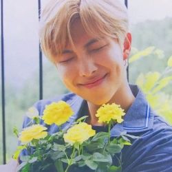 عکس عکس از نامجون