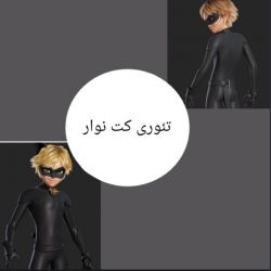کاور
