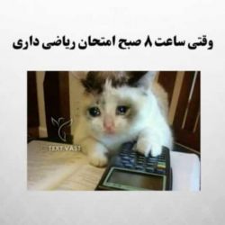 بیا بخند برو دیگه هم اگه زنده موندی باز بیا😅🤣