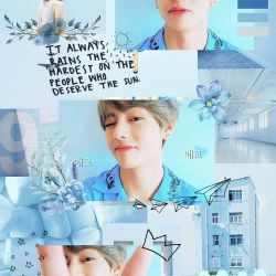 فالو=فالو😐❤