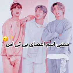 عکس معنی اسم اعضای ✨𝐁𝐓𝐒✨