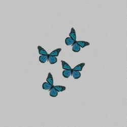 کار های گند من 🤦