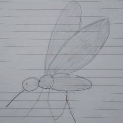 10حقیقت جالبه!