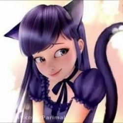 عکس معرفی تست های لیدی باگ در تستچی پارت آخر