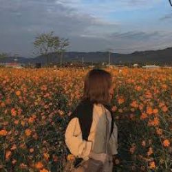 مسابقه ی ادیت