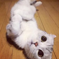 رها شو 1 این قسمت بمب خنده از فیلم معروف ...