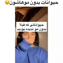 عکس حیوانات بدون موهاشون