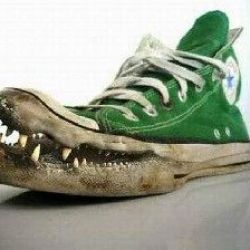 عجیب ترین کفش های دنیا😳پارت۲