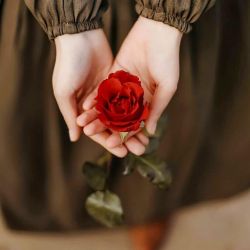 بهترین اجیم