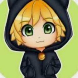 عکس چقدر کت نوار رو میشناسی؟