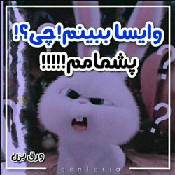 حقایق خیلی جالب