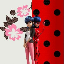 شبیه مرینتی یا لیدی باگ؟