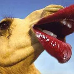 دانستی های باحال