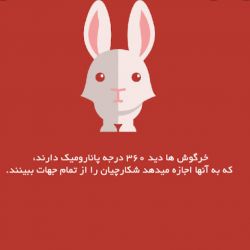 عجایب حیوانات