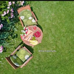 💗بهترین دوستم توی تستچی💗