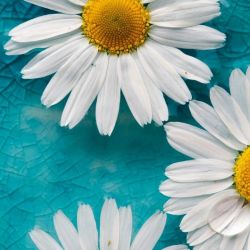 چند تا درد و دل که فقط دخترا میفهمنم