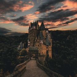 چیه نارسیسا و لوسیوسو دوص دارم🌸