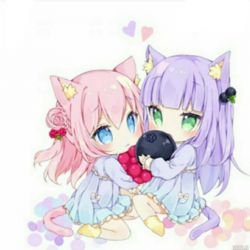 معرفی آجی هام 😍