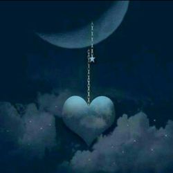 چیزایی که باید به تستچی اضافه بشه