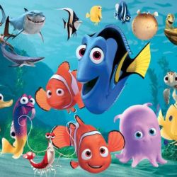 تئوری در جست وجوی نیمو