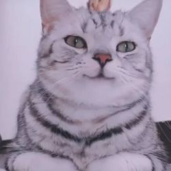 ایموجی ست🥺