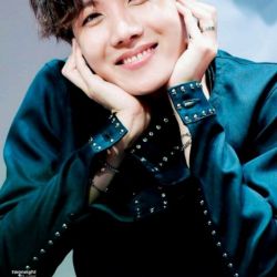 آیا چیهوپ نمی تونه دایی بشه؟