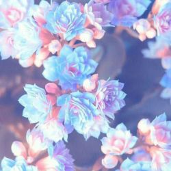 ادیتم برای مسابقه ادیت کاربر ㄥ丨丂卂