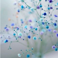 بیوگرافی خودم