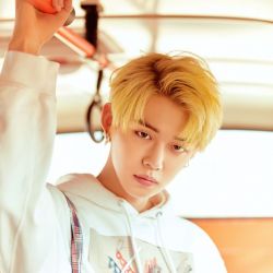 کیپاپرا کمکم کنین