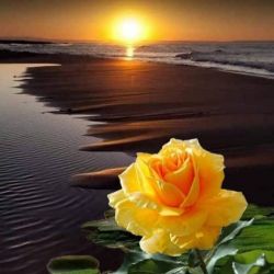 تفاوت ما پاتر هدا با افراد معمولی😎