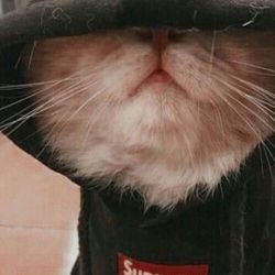 معرفی خودم🙂