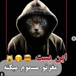 کاور