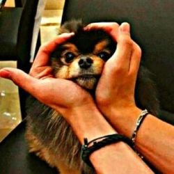 PHOTO OF YEONTAN