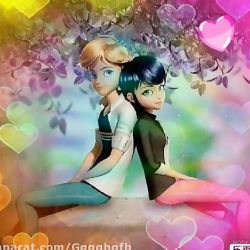 عکس love in miraculous 6