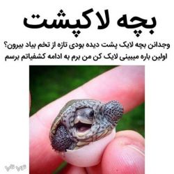 اگه اولین باره میبینی لایک کن😍