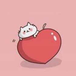 چند تا از کاربر های موردعلاقه ام