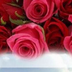 معرفی کتاب💖