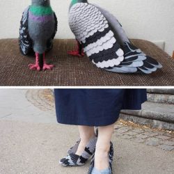 کفش های عجیب و غریبP1