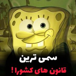 سمی ترین قانونای کشورا